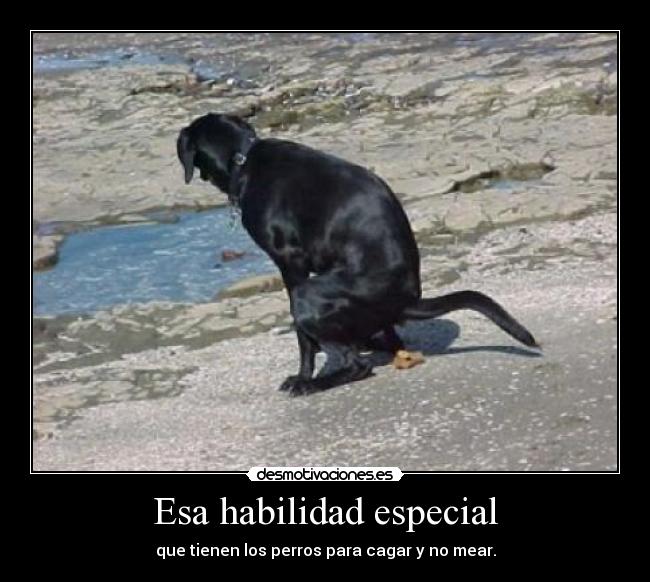 Esa habilidad especial - 