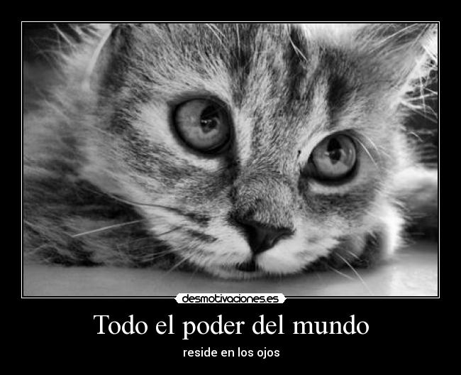 Todo el poder del mundo - 