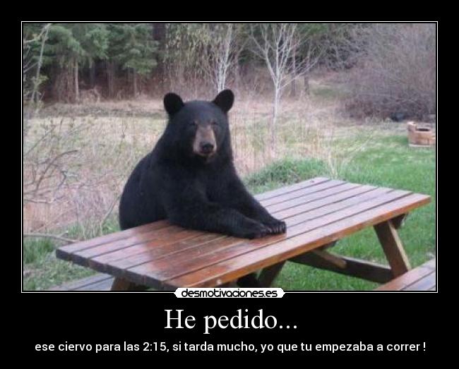 He pedido... - ese ciervo para las 2:15, si tarda mucho, yo que tu empezaba a correr !
