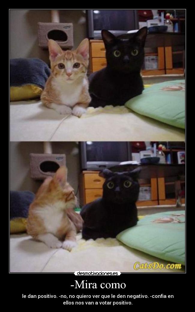 -Mira como - 