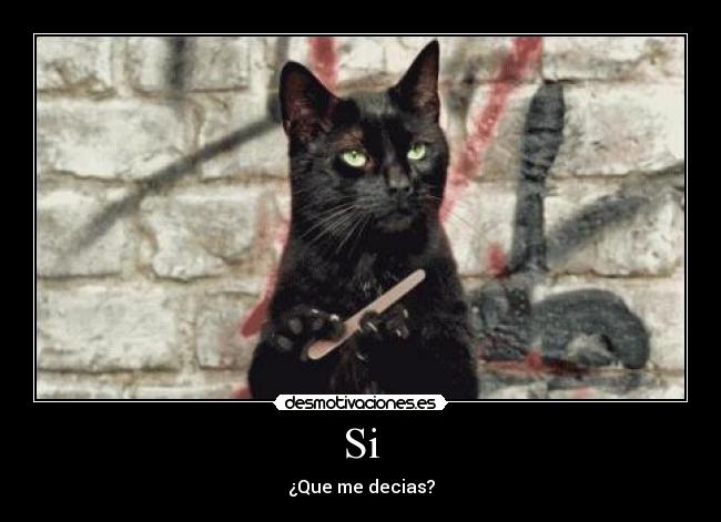 carteles si que decias sobrador desmotivaciones