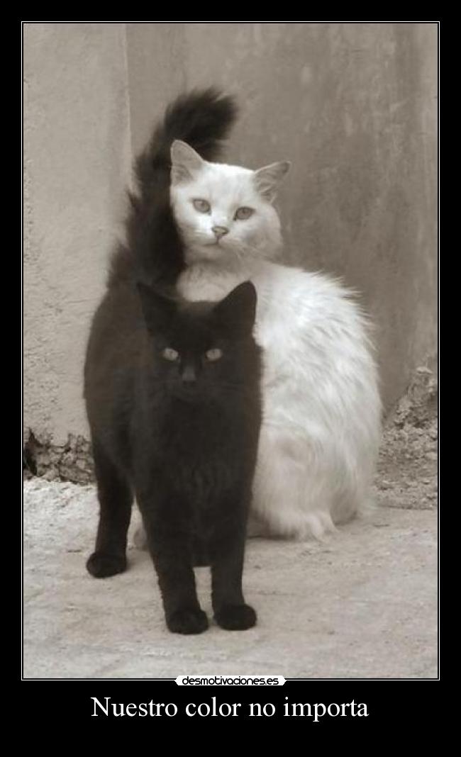 Nuestro color no importa - 
