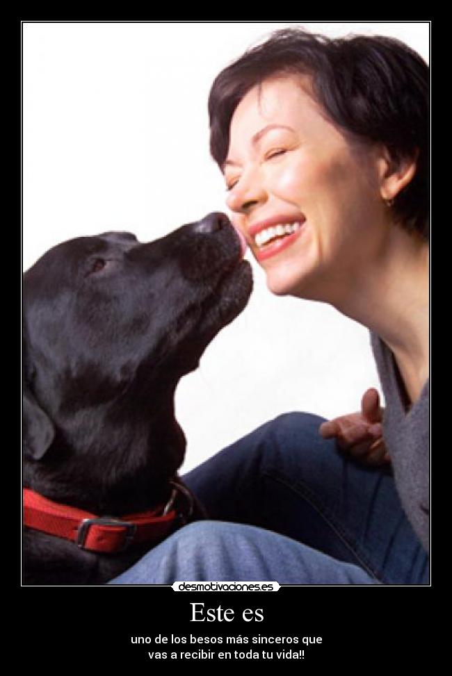 carteles jessiik desmotivaciones