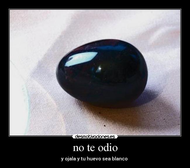 no te odio - y ojala y tu huevo sea blanco