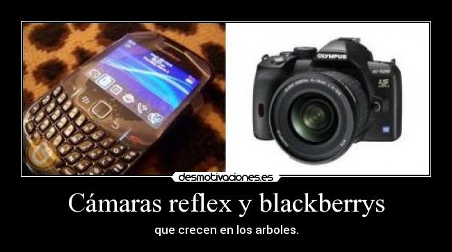 carteles camara reflex digital blackberry desmotivaciones