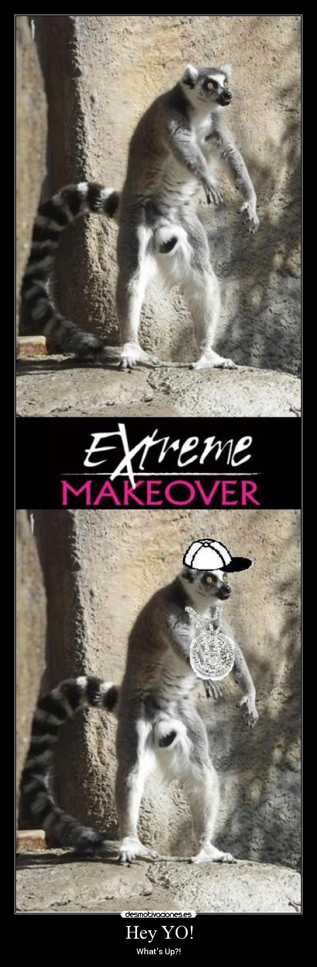 Hey YO! - Whats Up?!