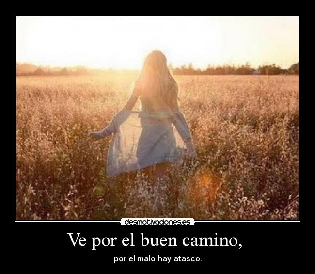 Ve por el buen camino,  - 