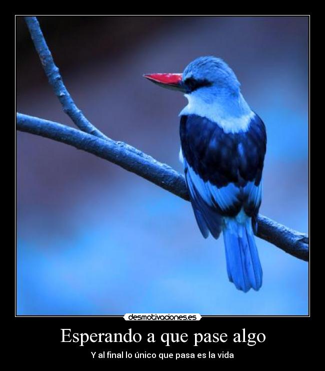 Esperando a que pase algo - Y al final lo único que pasa es la vida