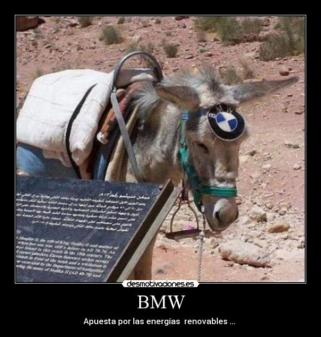 carteles burro desmotivaciones