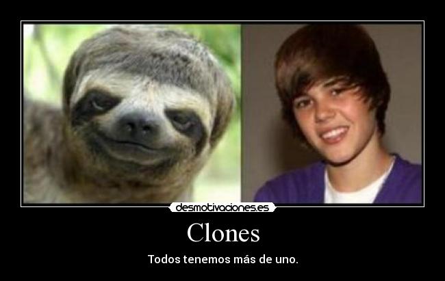 Clones - 