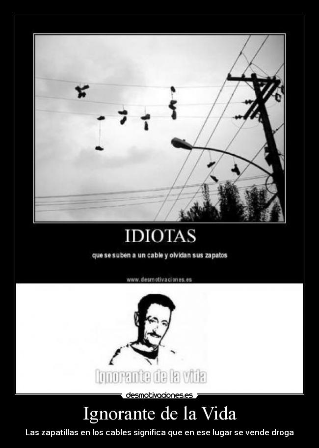 Ignorante de la Vida - 