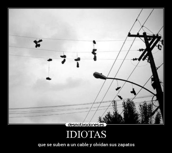 IDIOTAS - que se suben a un cable y olvidan sus zapatos