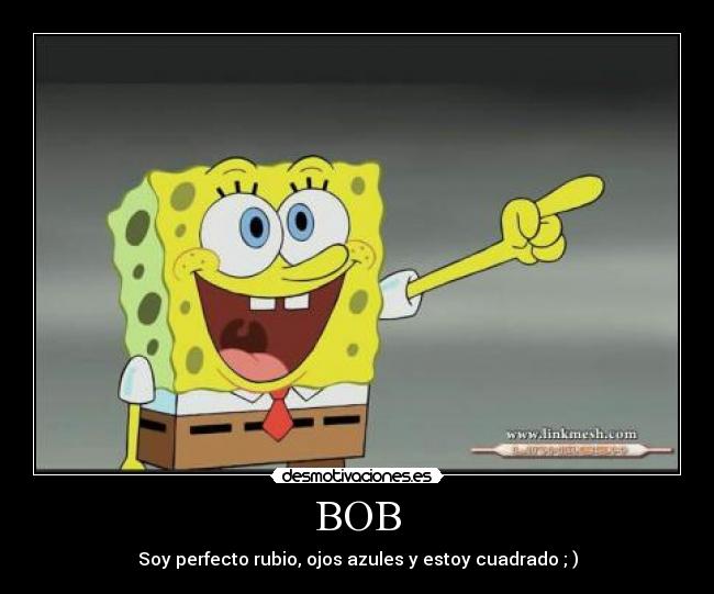 BOB -