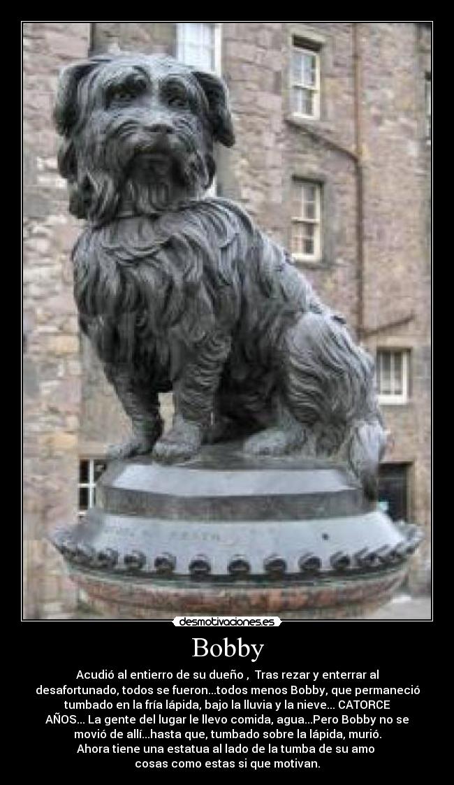 carteles perro bobby desmotivaciones