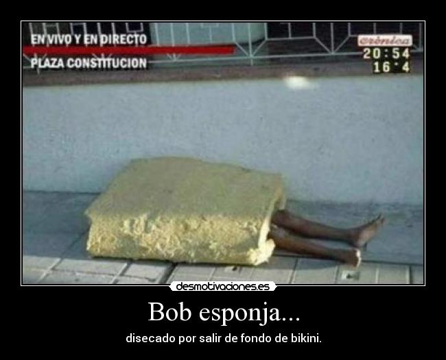 carteles pato_willixxd desmotivaciones