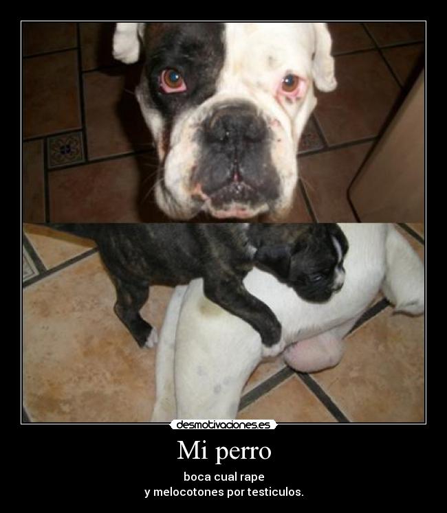 carteles bull desmotivaciones