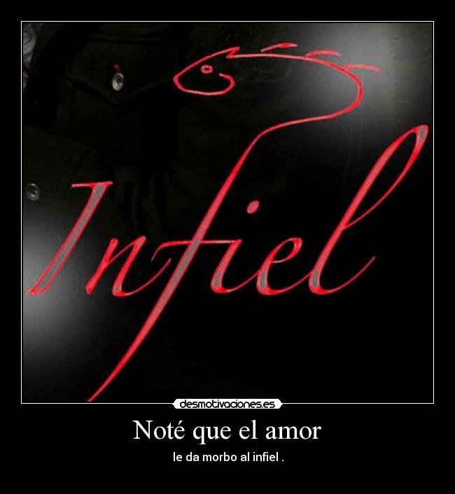 carteles amor notequeelamorledamorboalinfielpiezasraperreape7o7 desmotivaciones