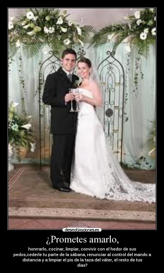 ¿Prometes amarlo, -