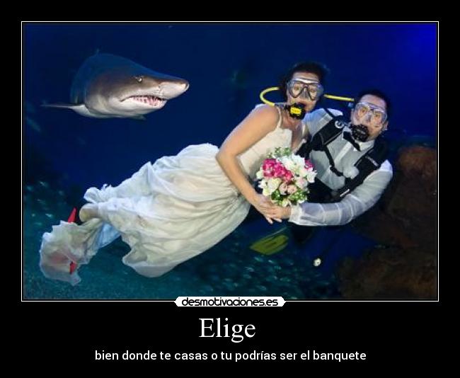 Elige  - 