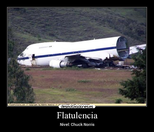 Flatulencia -