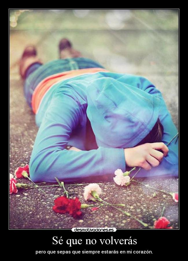 Sé que no volverás - pero que sepas que siempre estarás en mi corazón.