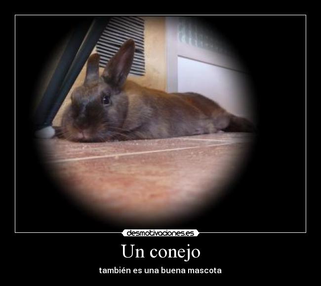 carteles gser desmotivaciones