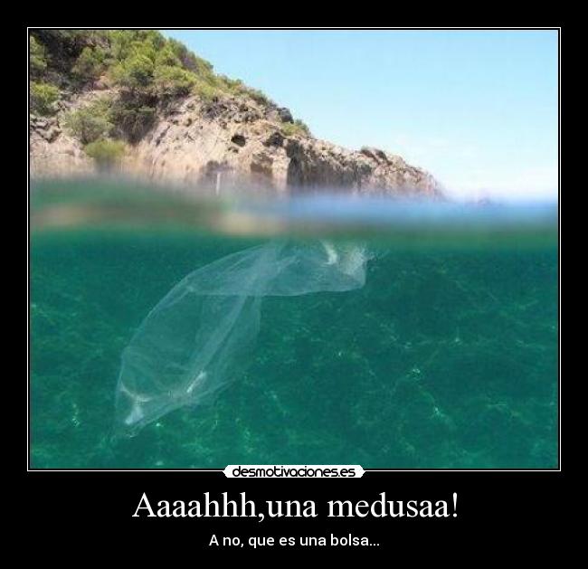 Aaaahhh,una medusaa! - A no, que es una bolsa...