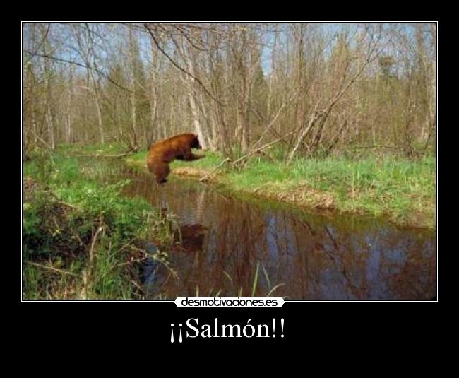 ¡¡Salmón!! -