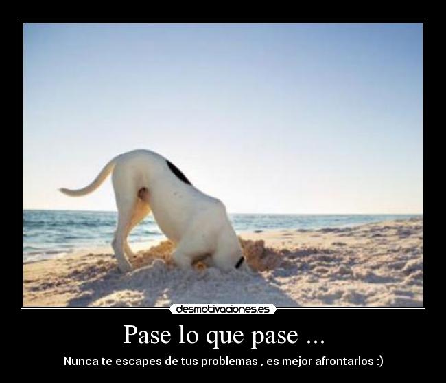 Pase lo que pase ... - 
