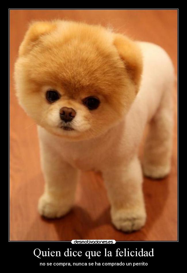 Quien dice que la felicidad -