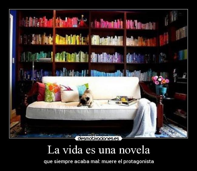 La vida es una novela - 