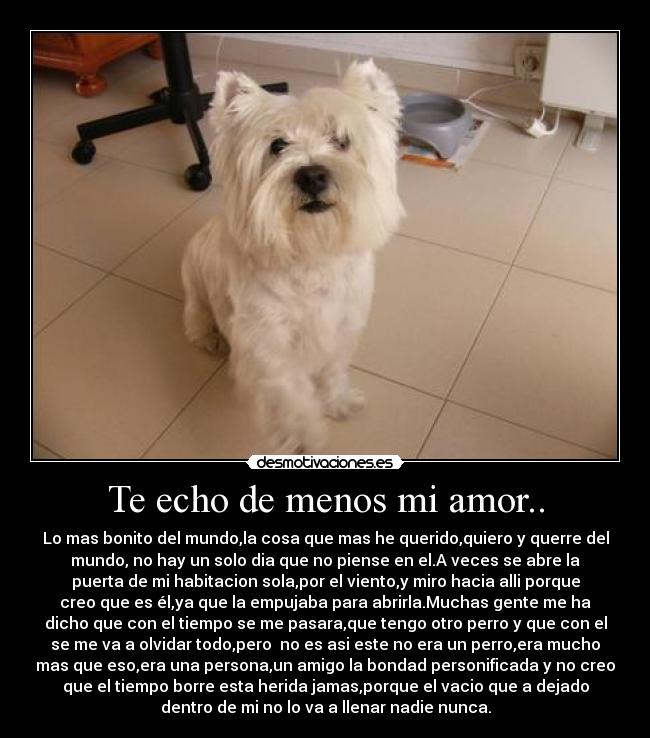 Te echo de menos mi amor.. - 