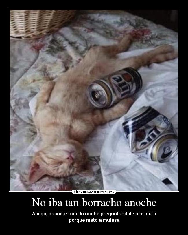 No iba tan borracho anoche - Amigo, pasaste toda la noche preguntándole a mi gato
porque mato a mufasa