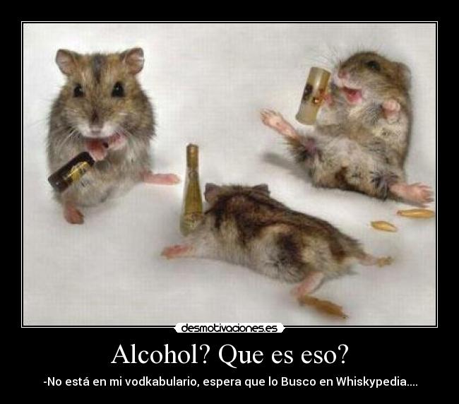 Alcohol? Que es eso? -