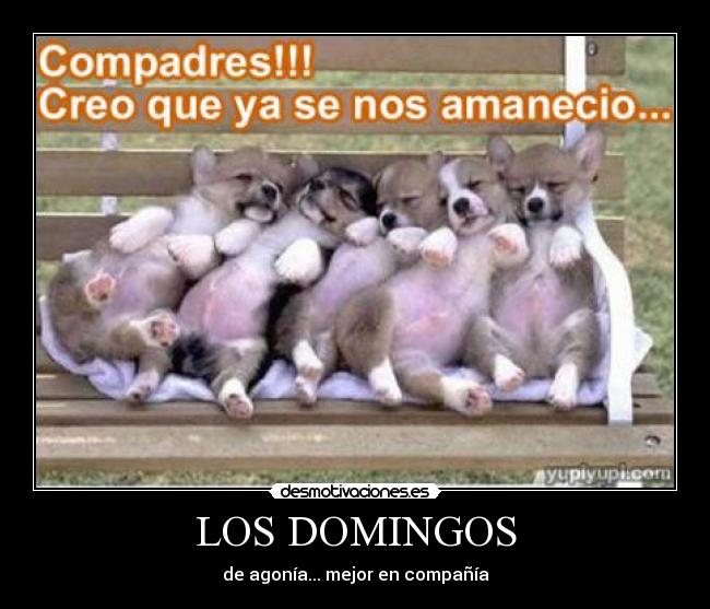 LOS DOMINGOS -
