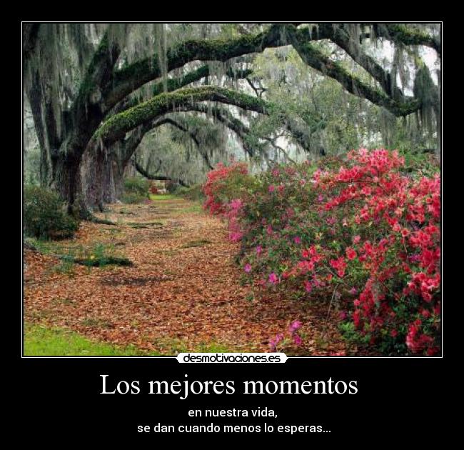 Los mejores momentos  - 