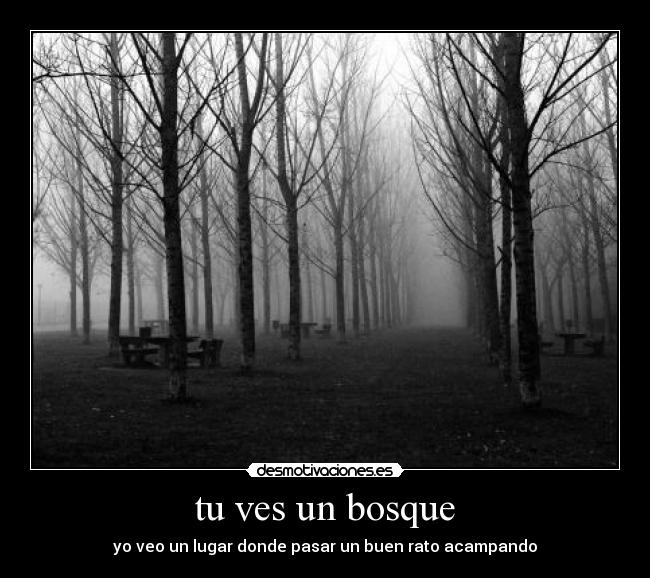 tu ves un bosque - yo veo un lugar donde pasar un buen rato acampando