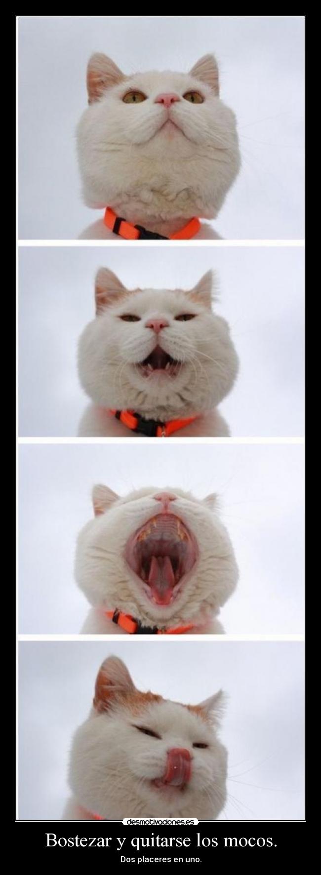 carteles gusta desmotivaciones