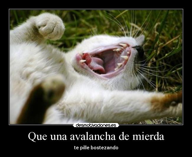 Que una avalancha de mierda -