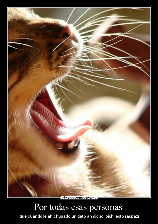 Por todas esas personas  - 