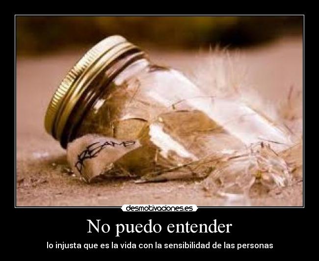 No puedo entender -
