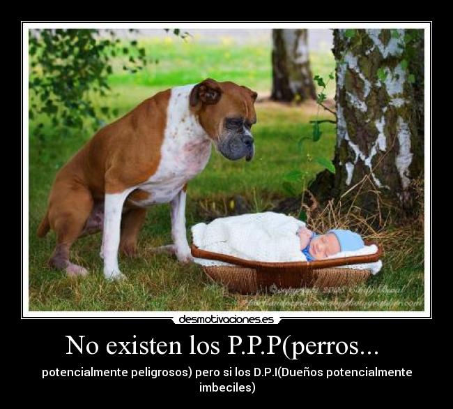 No existen los P.P.P(perros...  - 