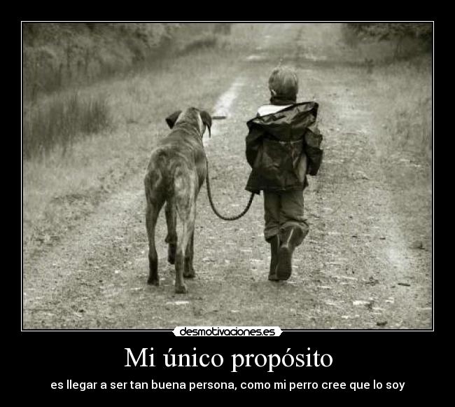 Mi único propósito - es llegar a ser tan buena persona, como mi perro cree que lo soy