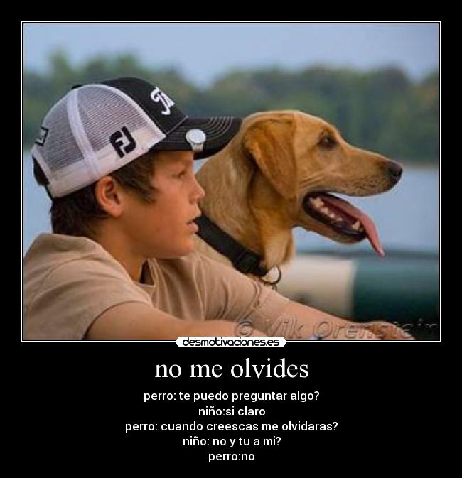 no me olvides - 