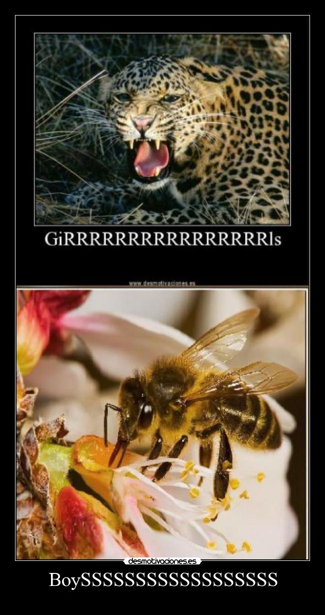 BoySSSSSSSSSSSSSSSSSS - 