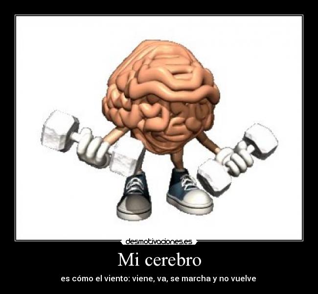 Mi cerebro - es cómo el viento: viene, va, se marcha y no vuelve 