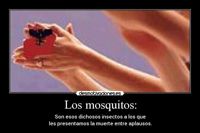 Los mosquitos: - Son esos dichosos insectos a los que
les presentamos la muerte entre aplausos.