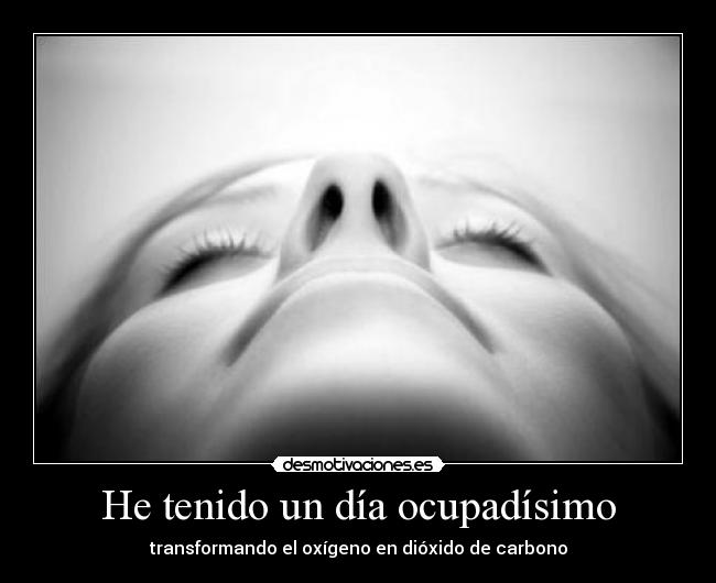 He tenido un día ocupadísimo -