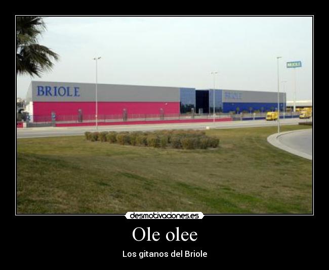Ole olee - 