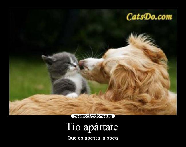 Tio apártate - Que os apesta la boca